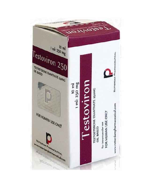 TESTOVIRON 250 10 ML (ENANTATO DE TESTO) ROTTERDAM